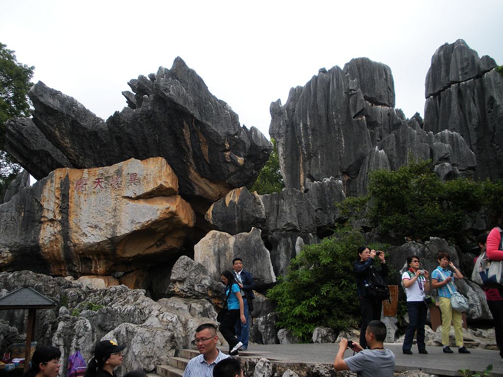 DSCN1179.jpg