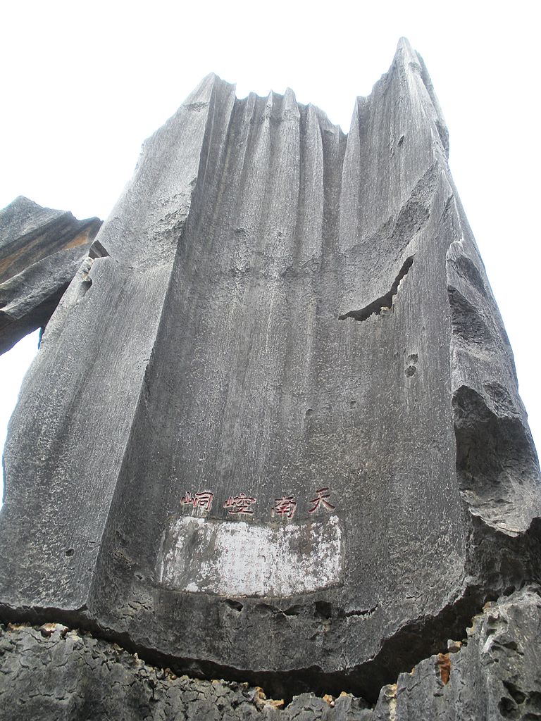 DSCN1185.jpg