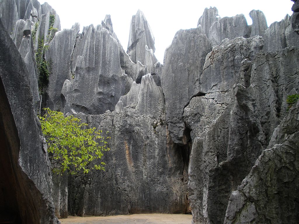 DSCN1188.jpg