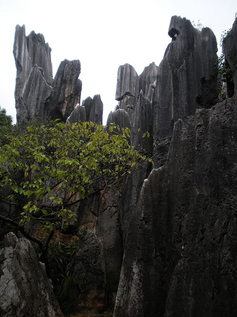 DSCN1189.jpg