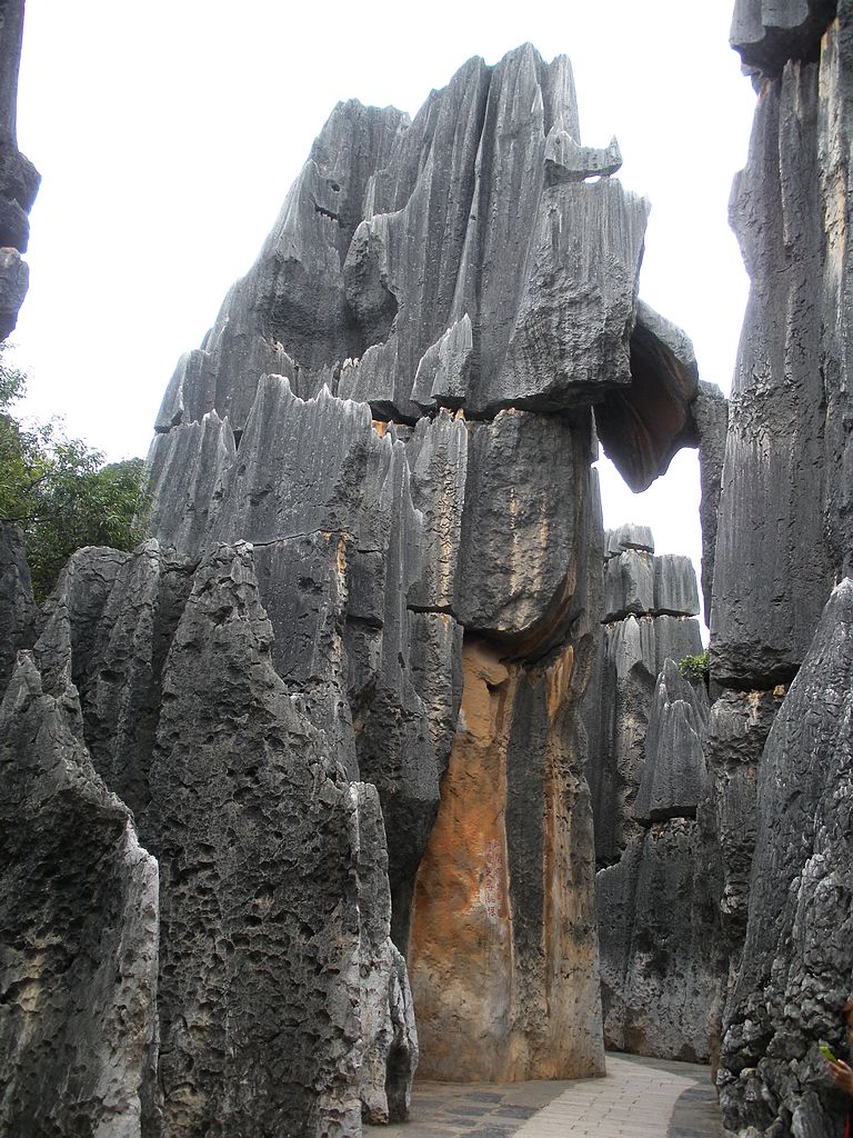 DSCN1190.jpg