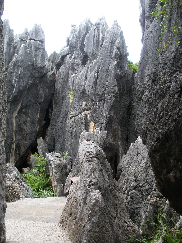 DSCN1193.jpg