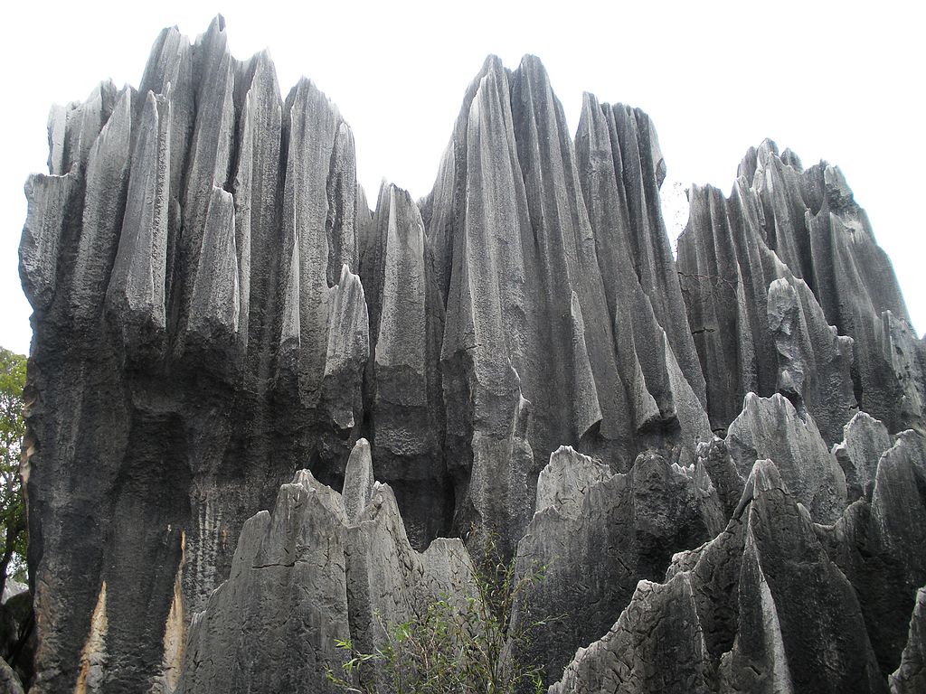 DSCN1194.jpg