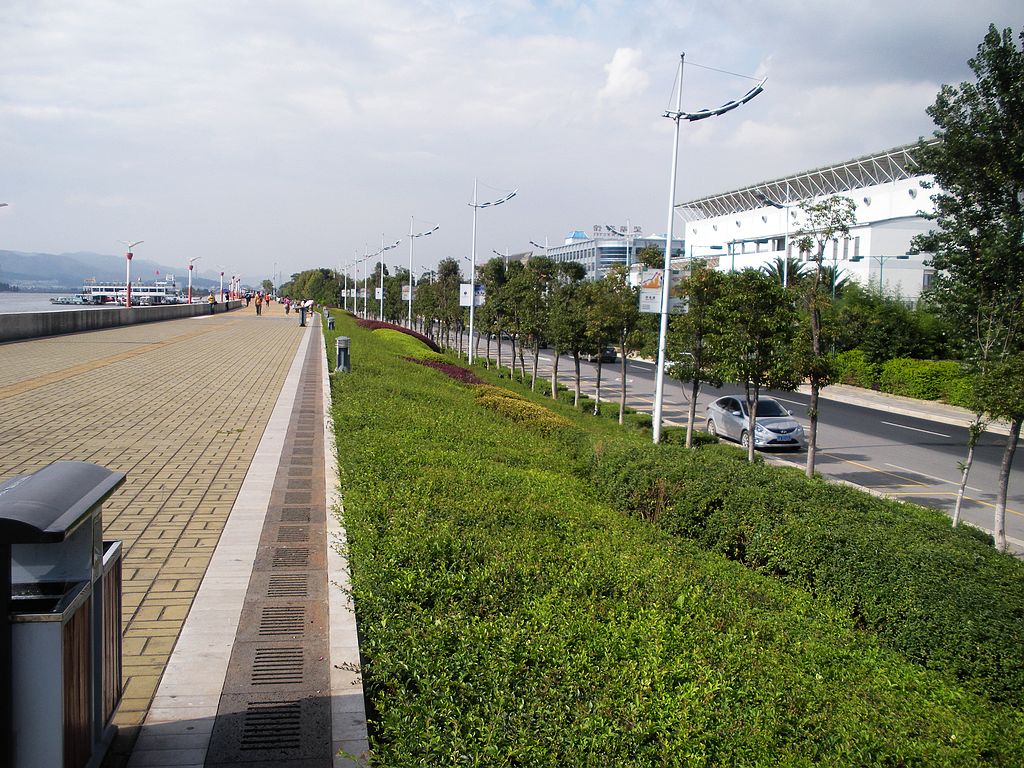 DSCN1229.jpg