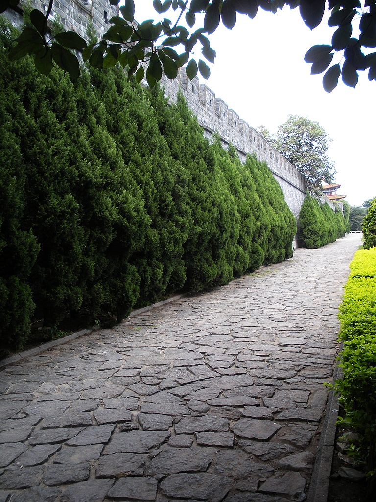 DSCN1279.jpg