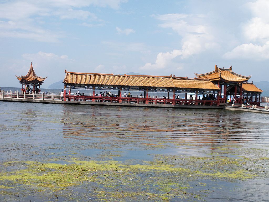 DSCN1289.jpg
