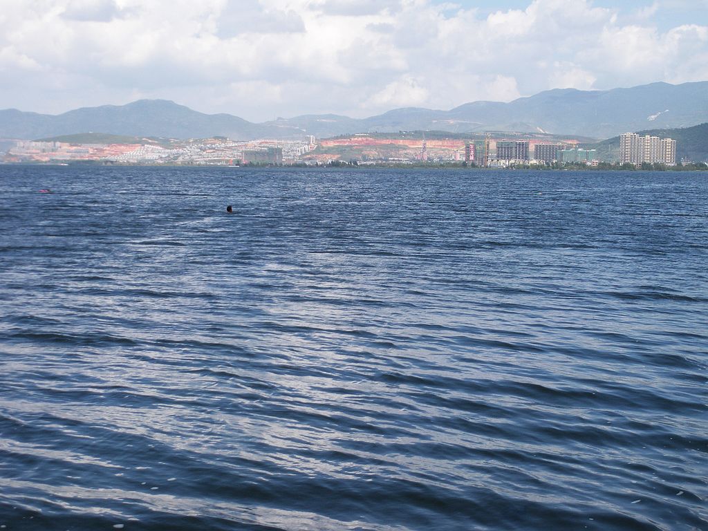DSCN1294.jpg