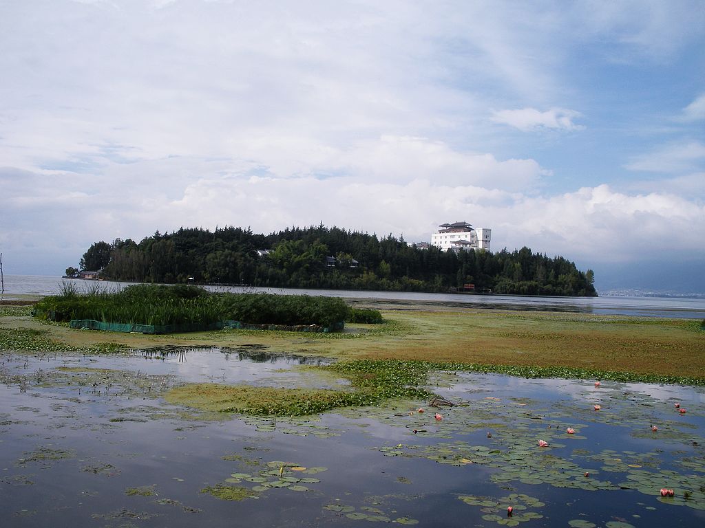 DSCN1311.jpg