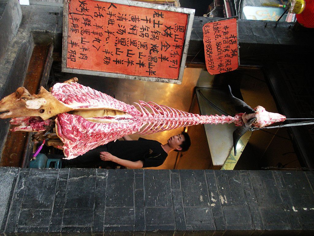 DSCN1392.jpg