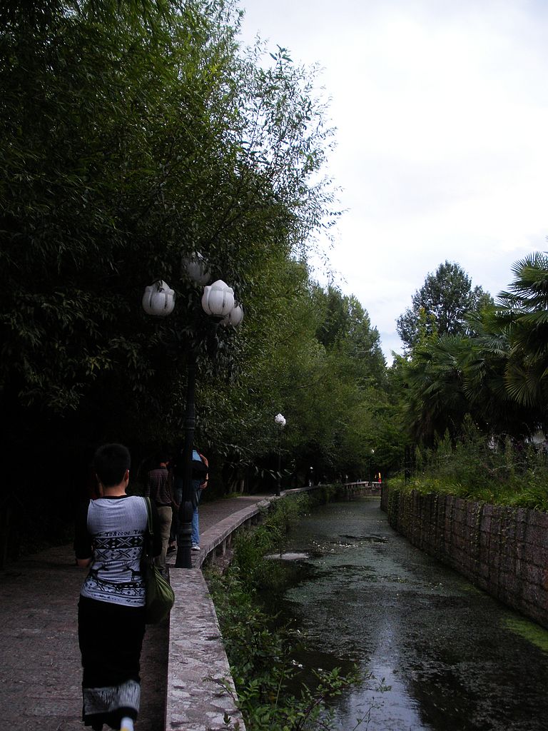 DSCN1409.jpg