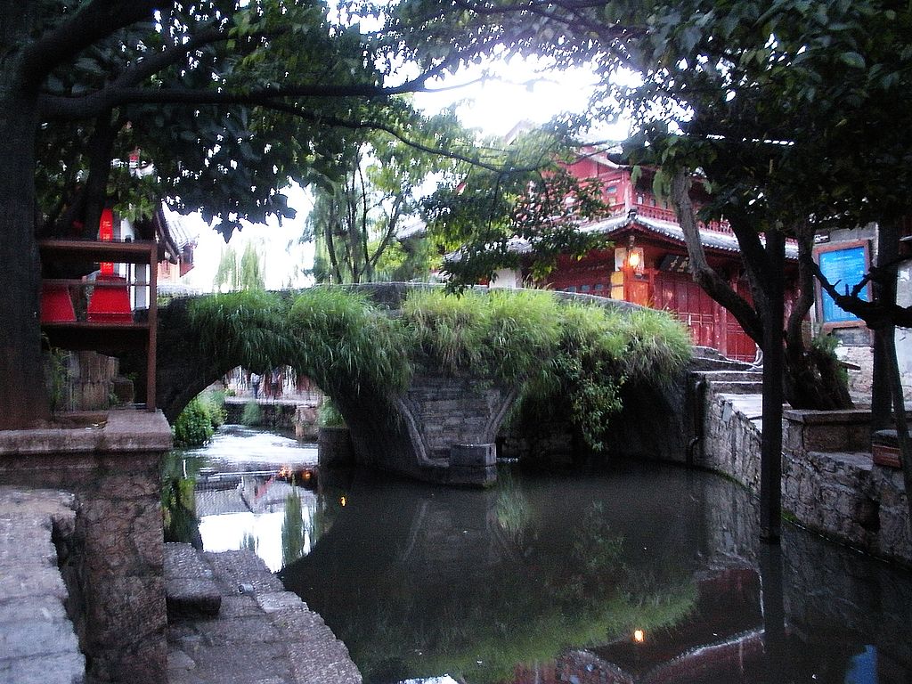 DSCN1485.jpg