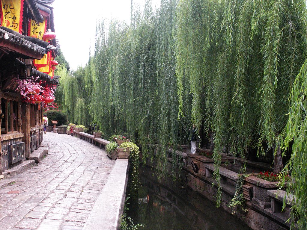 DSCN1520.jpg