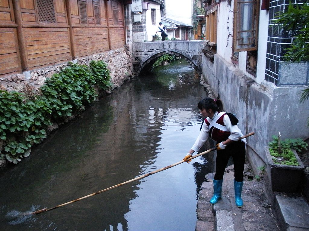 DSCN1494.jpg