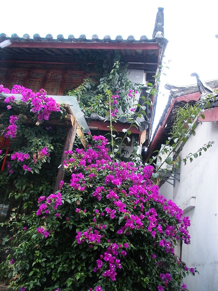 DSCN1508.jpg