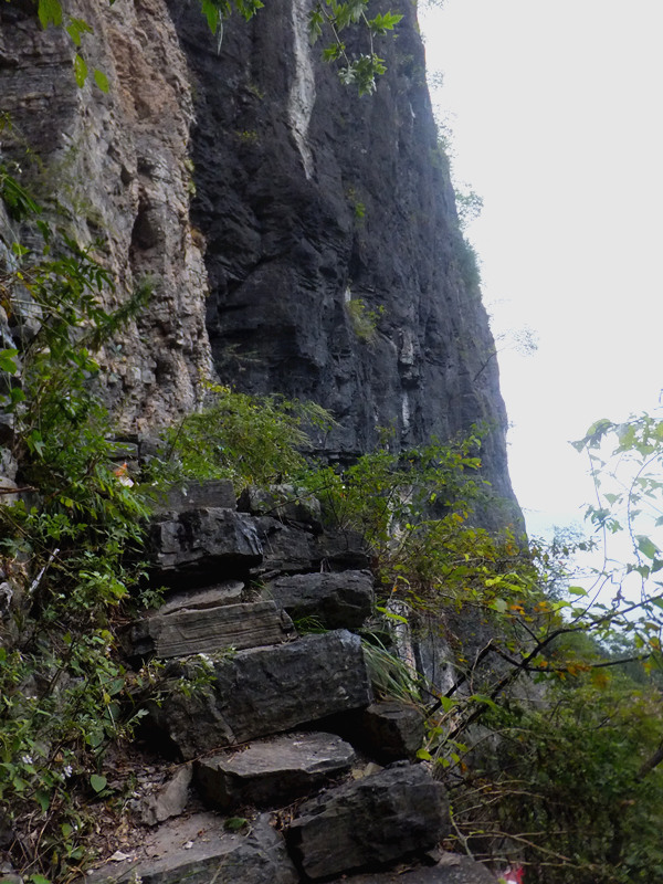 DSCF5791_����.jpg