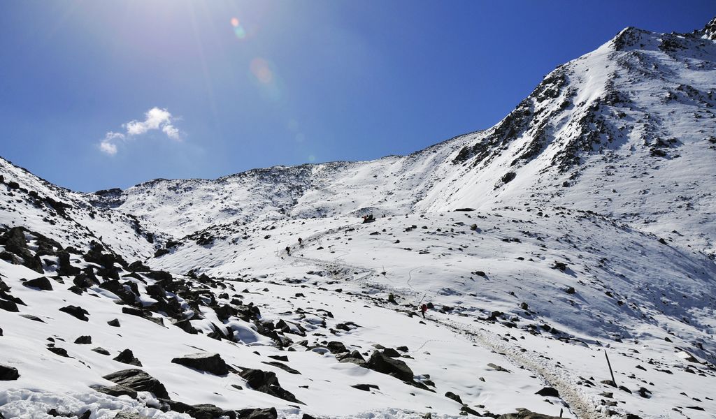 _DSC0839.jpg