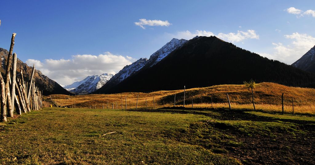 _DSC0693.jpg