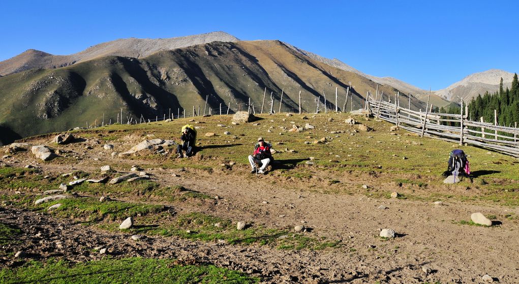 _DSC0708.jpg