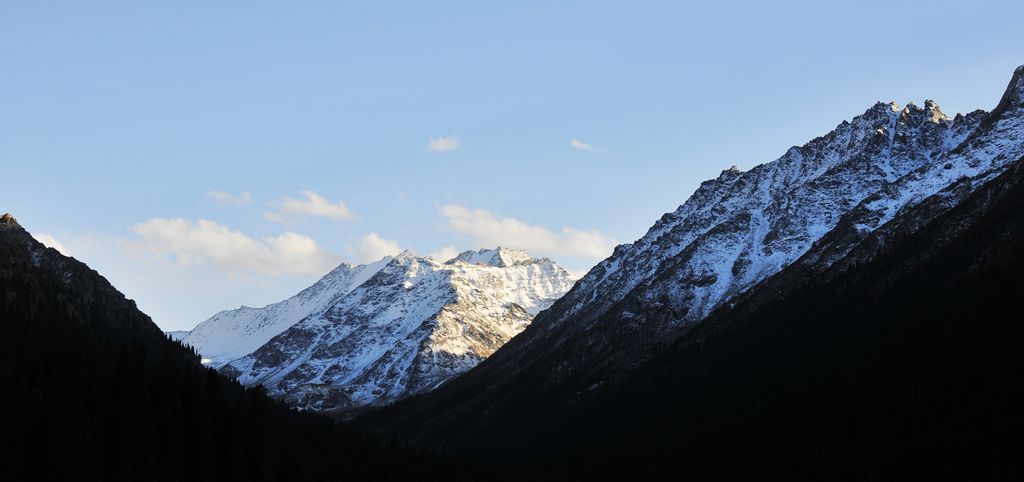 _DSC0715.jpg