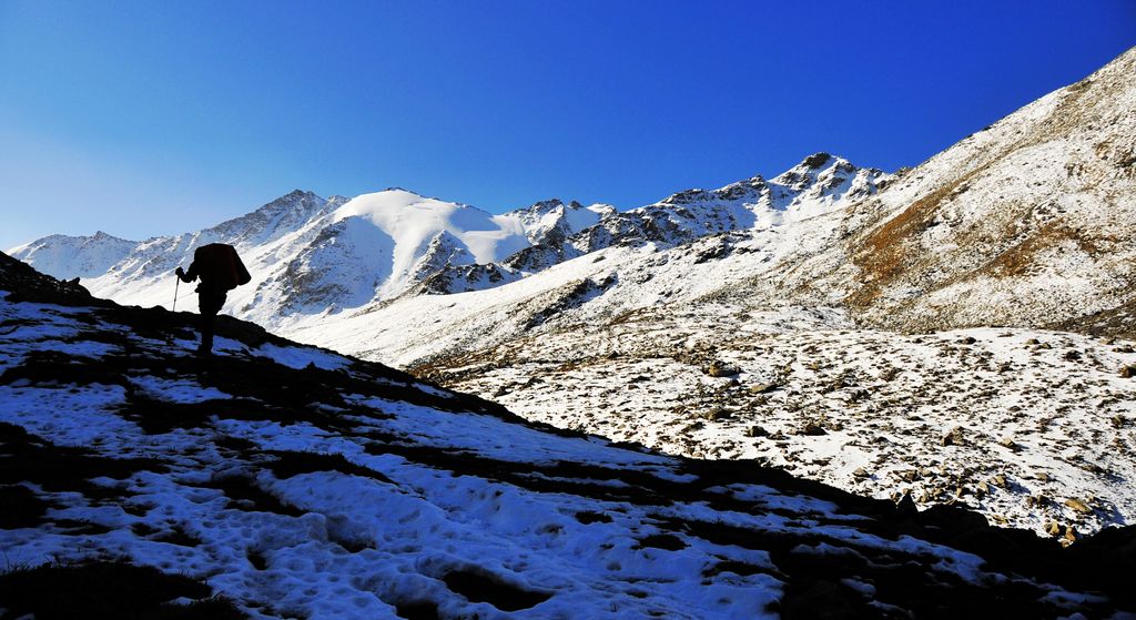 _DSC0787.jpg