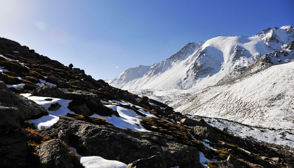 _DSC0793.jpg