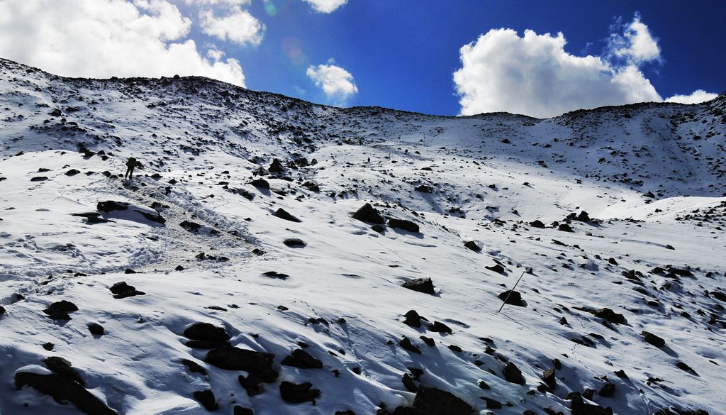 _DSC0853.jpg