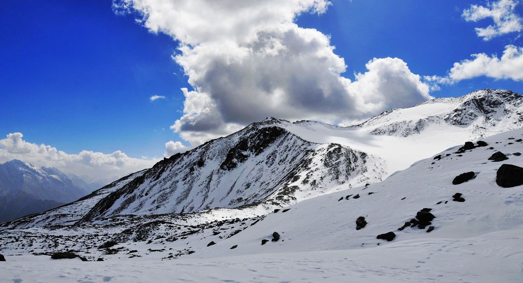 _DSC0871.jpg
