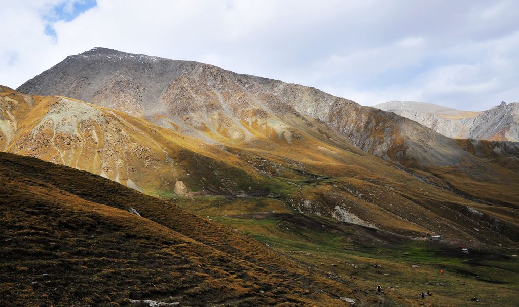_DSC0905.jpg