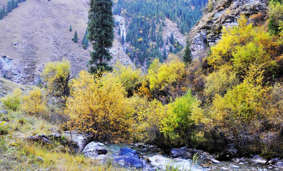 _DSC0954.jpg