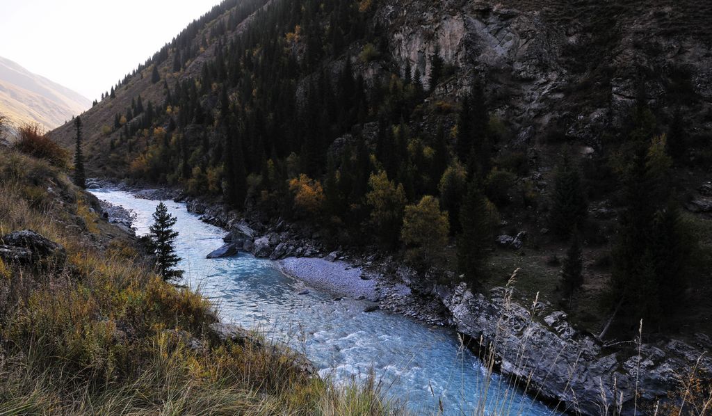 _DSC0967.jpg