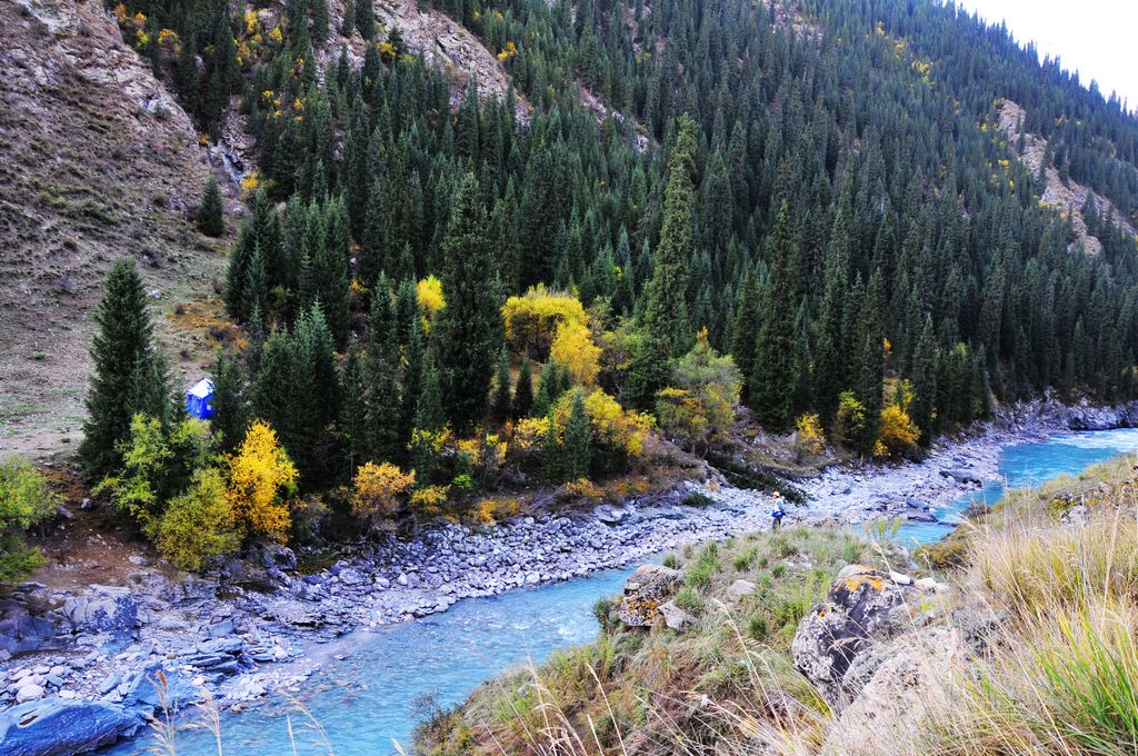 _DSC0969.jpg