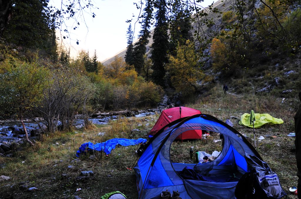 _DSC0959.jpg