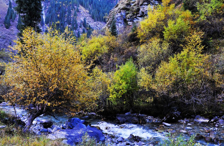 _DSC0956.jpg