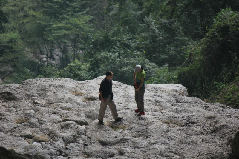 a73.jpg