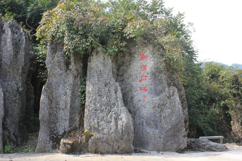 b37.jpg