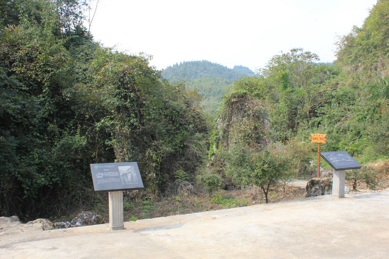 b71.jpg