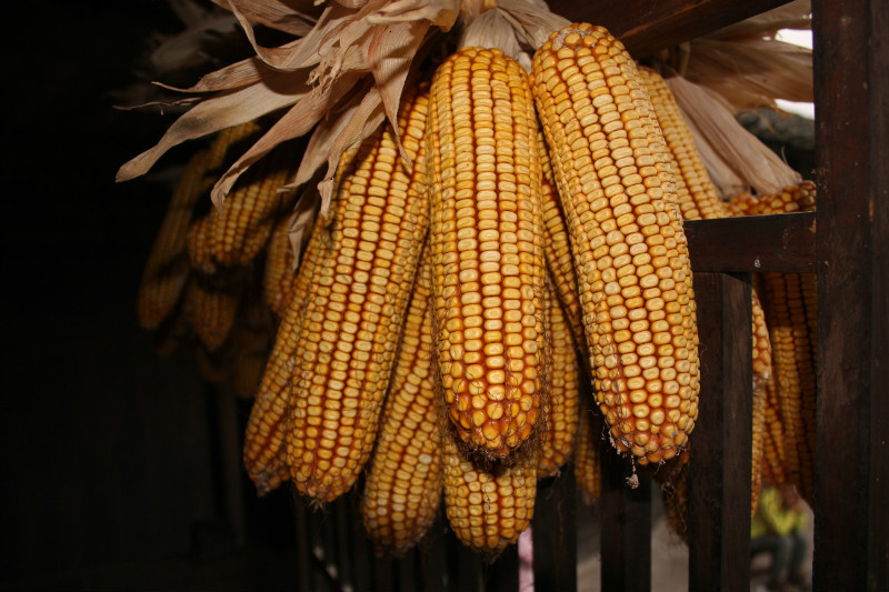 b83.jpg