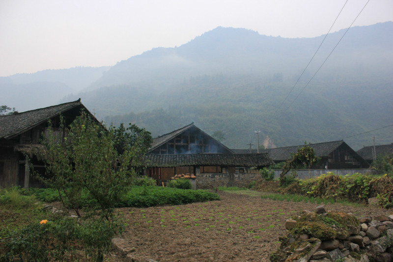 b84.jpg