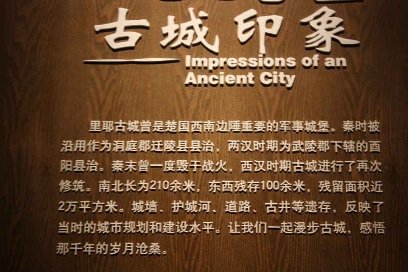 c15.jpg