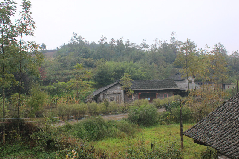 d05.jpg