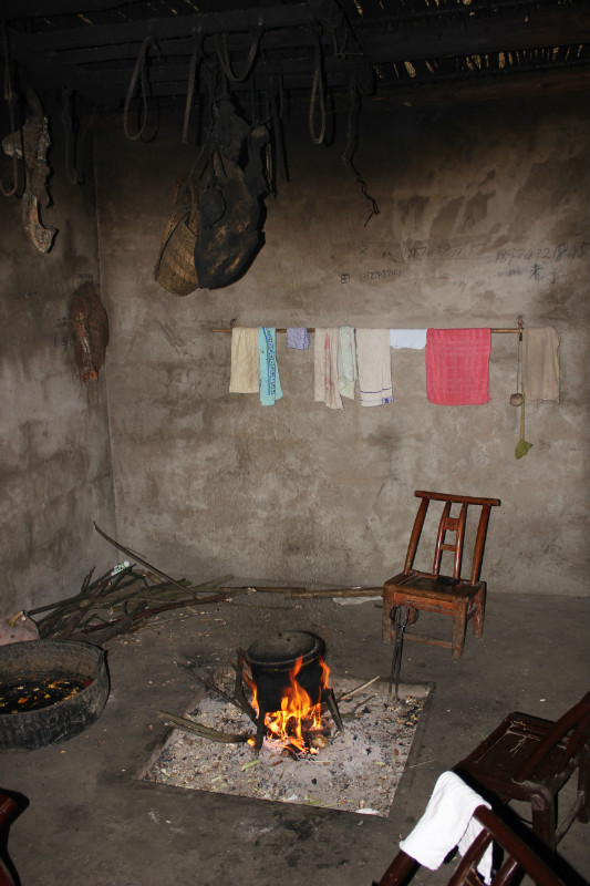f01.jpg