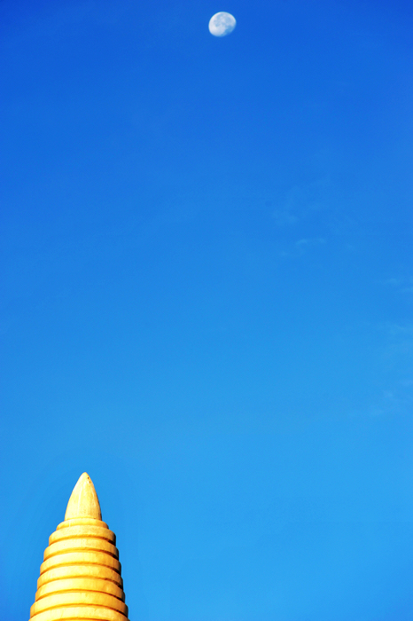 nEO_IMG_DSC_4843.jpg
