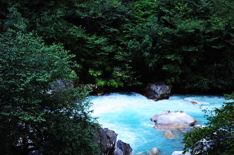 DSC_3675.JPG