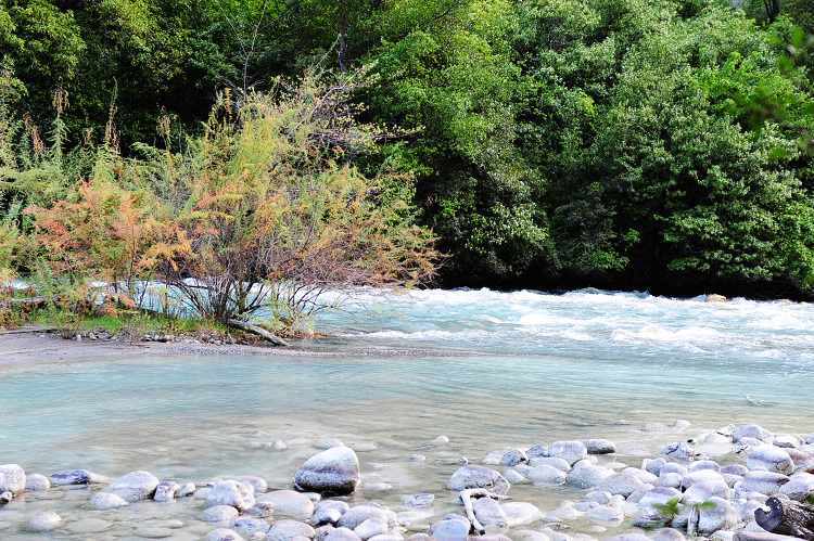 DSC_3695.JPG