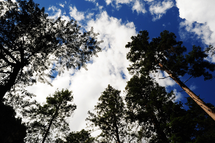 DSC_3837.JPG