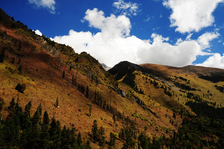 DSC_3884.JPG