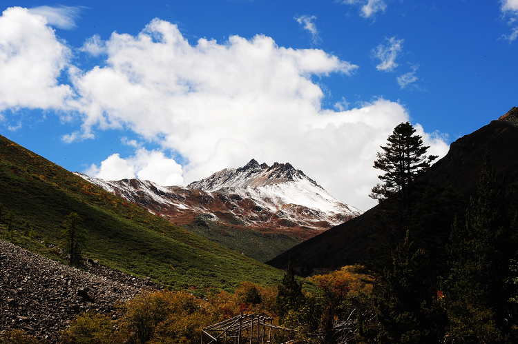 DSC_3890.JPG