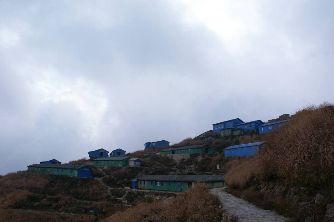 DSC08003.JPG