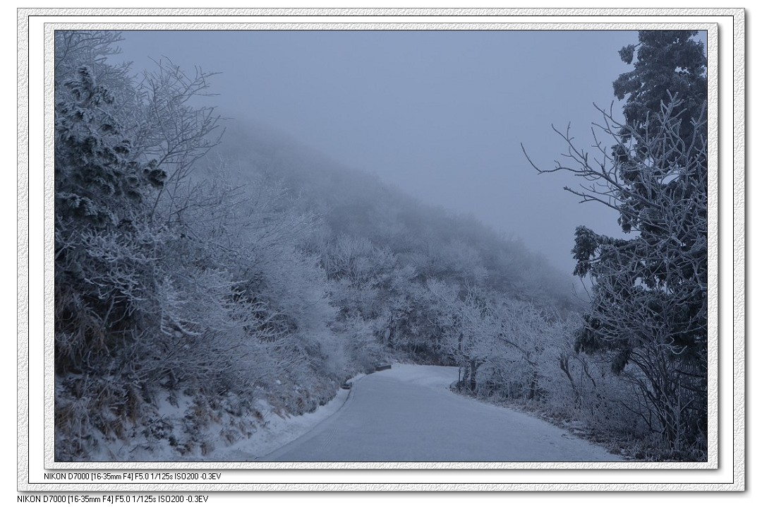 DSC_2307.jpg