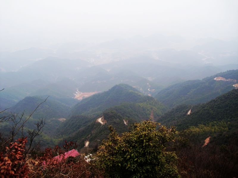 DSCI0085.JPG